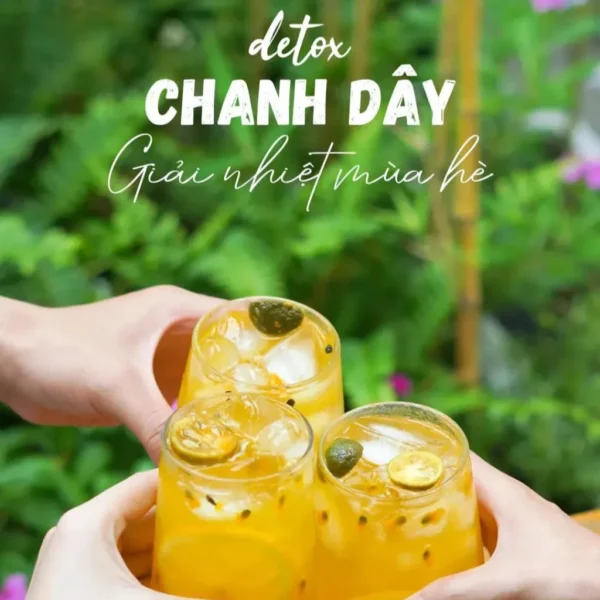 Trà Chanh Dây Kim Quất Triệu Lộ Tư Thanh Nhiệt, Mát Gan, Giải Nhiệt Cơ Thể